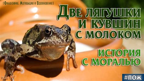 Две Лягушки и Горшок с Молоком. История притча с моралью - YouTube
