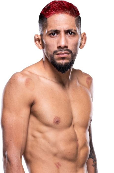 Daniel Marcos | UFC