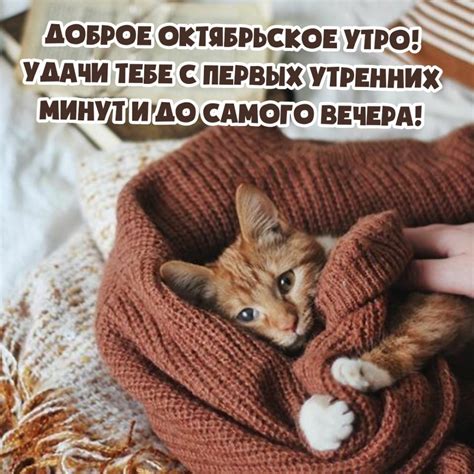 Картинка - Доброе октябрьское утро!.