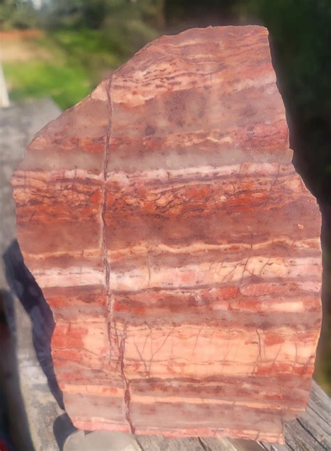 A Beautiful Rough Slab of Kona Dolomite From Michigan - Etsy