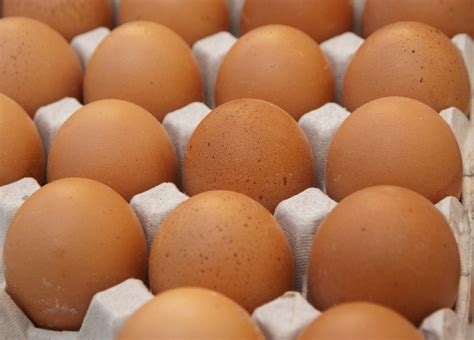 Удмуртия экспортирует продукцию животноводства в Казахстан и Киргизию ...