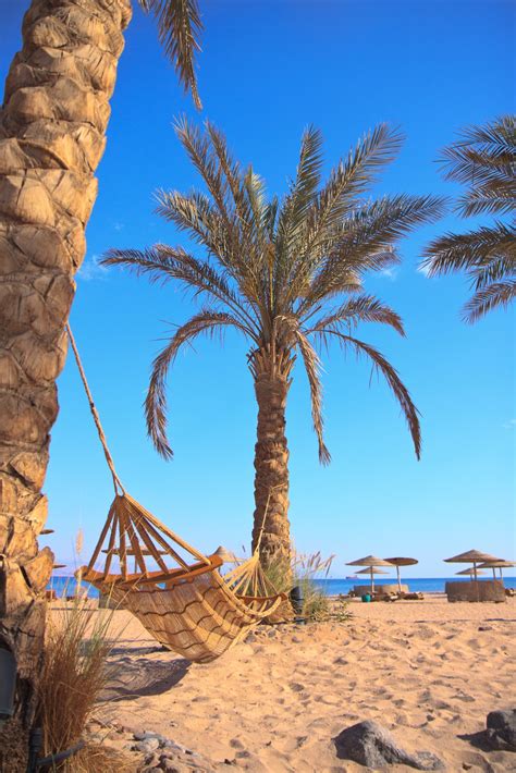 Where to Stay in Taba: Best neighborhoods | Expedia