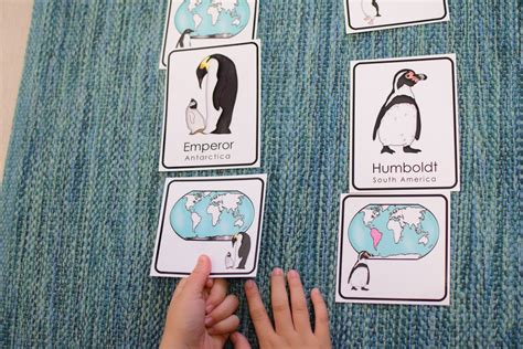 Penguins Preschool Math and Literacy Mini Unit | The Pinay Homeschooler