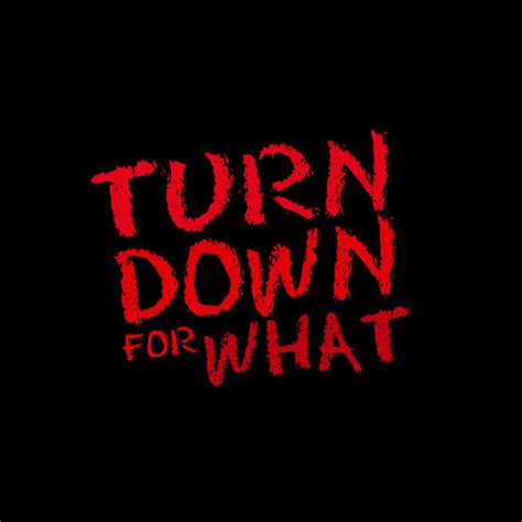 Stream Dj Snake vs Upon A Burning Body - Turn Down For What (NIGHTBIRD ...
