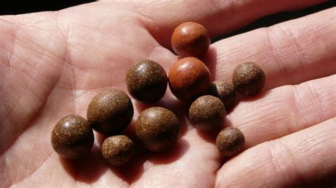 Tibetan Medicine — Kailash Centre