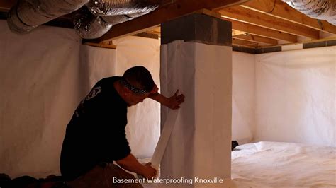 Explore the Vibrant Cultural Landscape of Muse Knoxville and Beyond ...