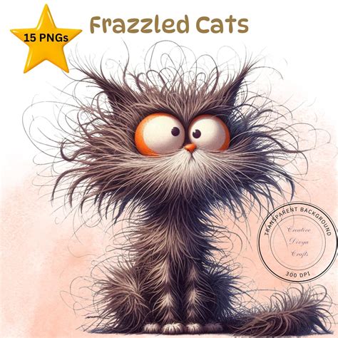 Cute Crazy Cats Clipart / Funny Quirky Cats PNG / Frazzled Cat Clipart