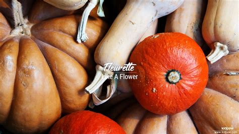 Fleurette Name Pronunciation in [20 Different] Languages