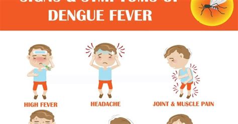 Signs and Symptoms of Dengue Fever