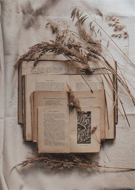 Винтажные книги | Still life, Decor, Frame