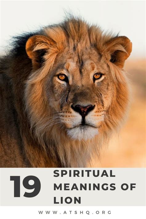 lion symbolism  spiritual meanings  lion