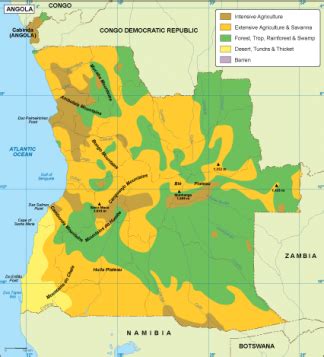 Angola vegetation map. EPS Illustrator Map | Vector World Maps