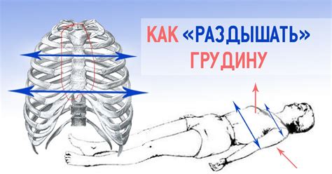 Дыхательные упражнения Стрельниковой
