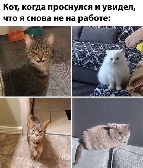 Картинки и фото с юмором / Приколы