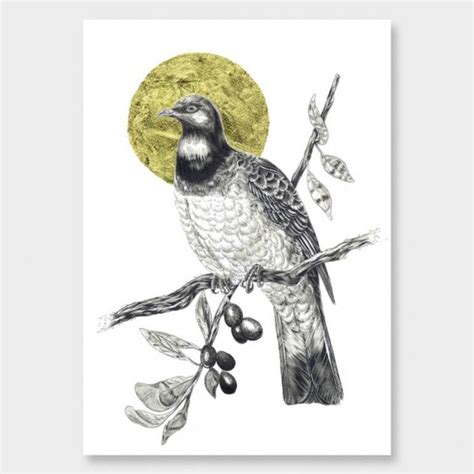 Kererū Drawing in 2021 | Art prints, Shipping art prints, Marker art