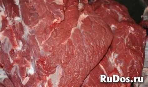 Мясо для животных ОЛЕНИНА филе оленя - 380 руб/кг РЫБА фарш из белой ...