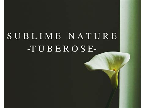 DESCOPERĂ NOUL PARFUM DE LUX SUBLIME NATURE TUBEROSE