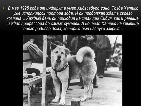 «Легенда о Хатико». Основано на реальных событиях - презентация онлайн