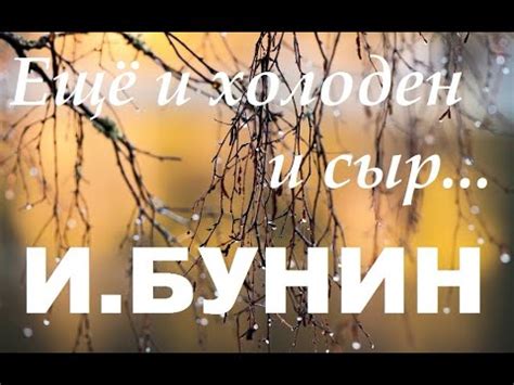 Иван Бунин "Еще и холоден и сыр..." (читает Петр Каледин) - YouTube