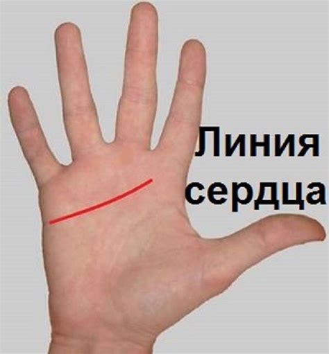 Как гадать по руке | Хиромантия, Жизнь, Рефлексология