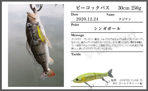 GAN CRAFT [HIGH POTENTIAL ORIGINAL LURES]