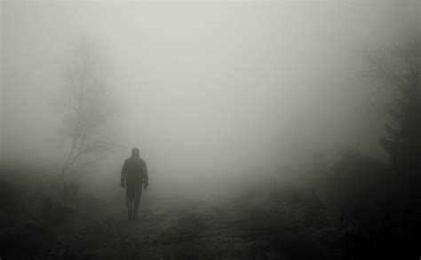 Spaziergänger Herbst Nebel · Kostenloses Foto auf Pixabay