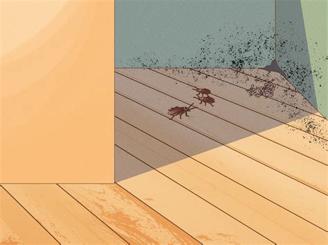 how to get rid of roaches in car overnight