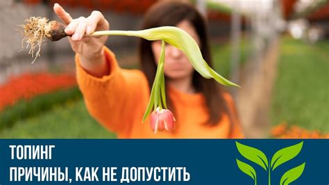 ТОПИНГ. Причины, как не допустить - YouTube