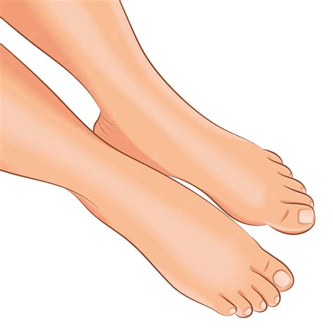 toes clip art 6