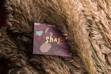 Shagal on Behance