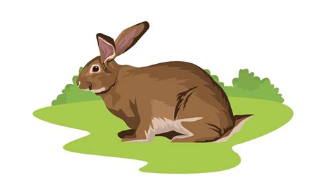 Wild Rabbit Vector Art, Icons, and Graphics for Free Download