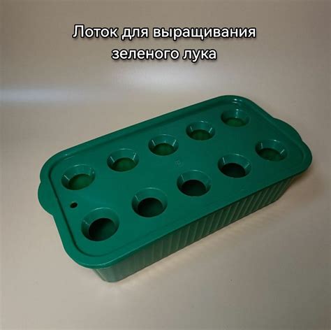 Лоток Для Выращивания Лука Купить В Москве За 140