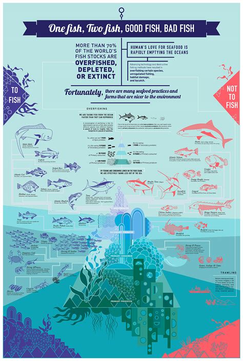 One Fish Two Fish Good Fish Bad Fish :: Behance