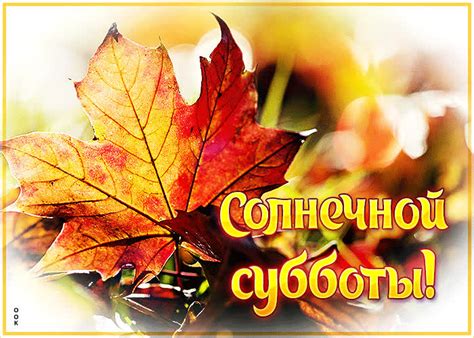 Крутая открытка Солнечной субботы!- Скачать бесплатно на otkritkiok.ru