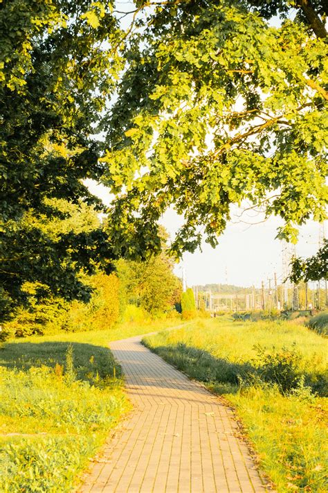 Free+Pictures+Wild+Amaginations Photos, Download The BEST Free Free