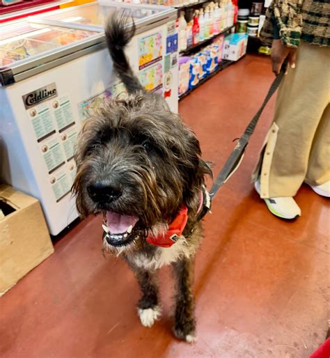 Park Pet Supply | Atlanta GA