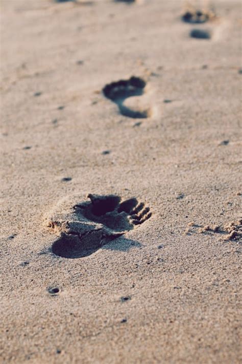 Trace Pictures | Download Free Images on Unsplash