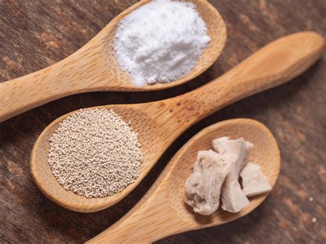 types  commercial yeast caputo flour