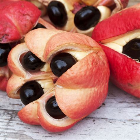 Ackee - Eat The Weeds and other things, too