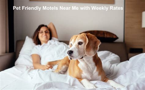 Pet Friendly Motels Near Me with Weekly Rates in 2024