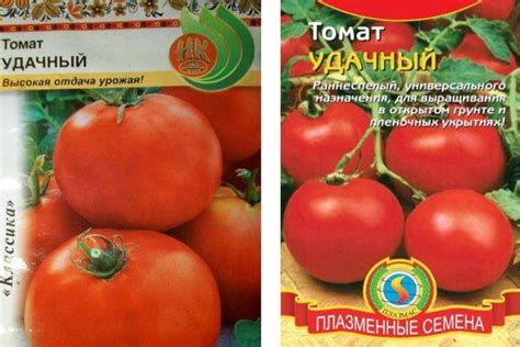Томат удачный характеристика и описание