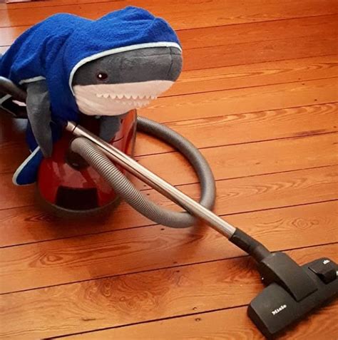 pin  kiki  blahaj shark toy shark plush shark pictures