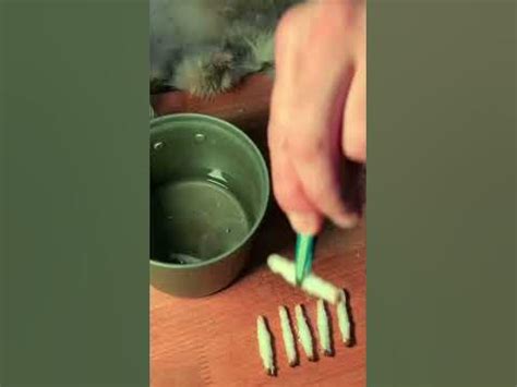 Охотничьи спички своими руками 2в1 растопка - YouTube