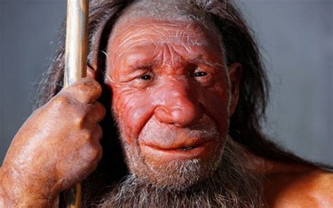 Neanderthals Compared To Modern Humans