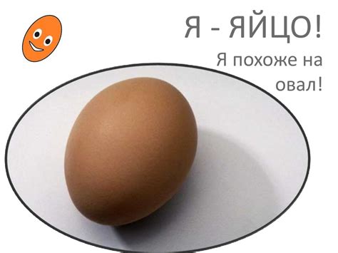 Что похоже на овал? - online presentation