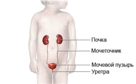 Нехватка витамина Д у ребёнка: симптомы, причины, диагностика