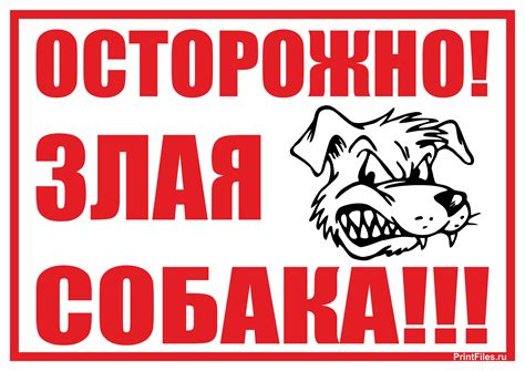 Скачать табличку "Злая собака" - Файлы для распечатки