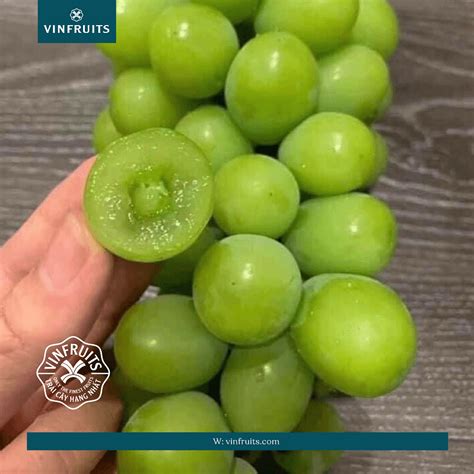 huong-dan-phan-biet-nho-mau-don-han-quoc-va-trung-quoc | VinFruits