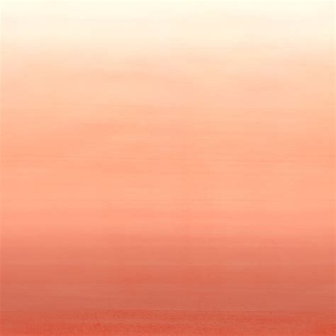 coral gradient wall close  texture  bicolor coral black stock