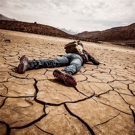 Dying Of Thirst Stock Photos, Pictures & Royalty-Free Images - iStock